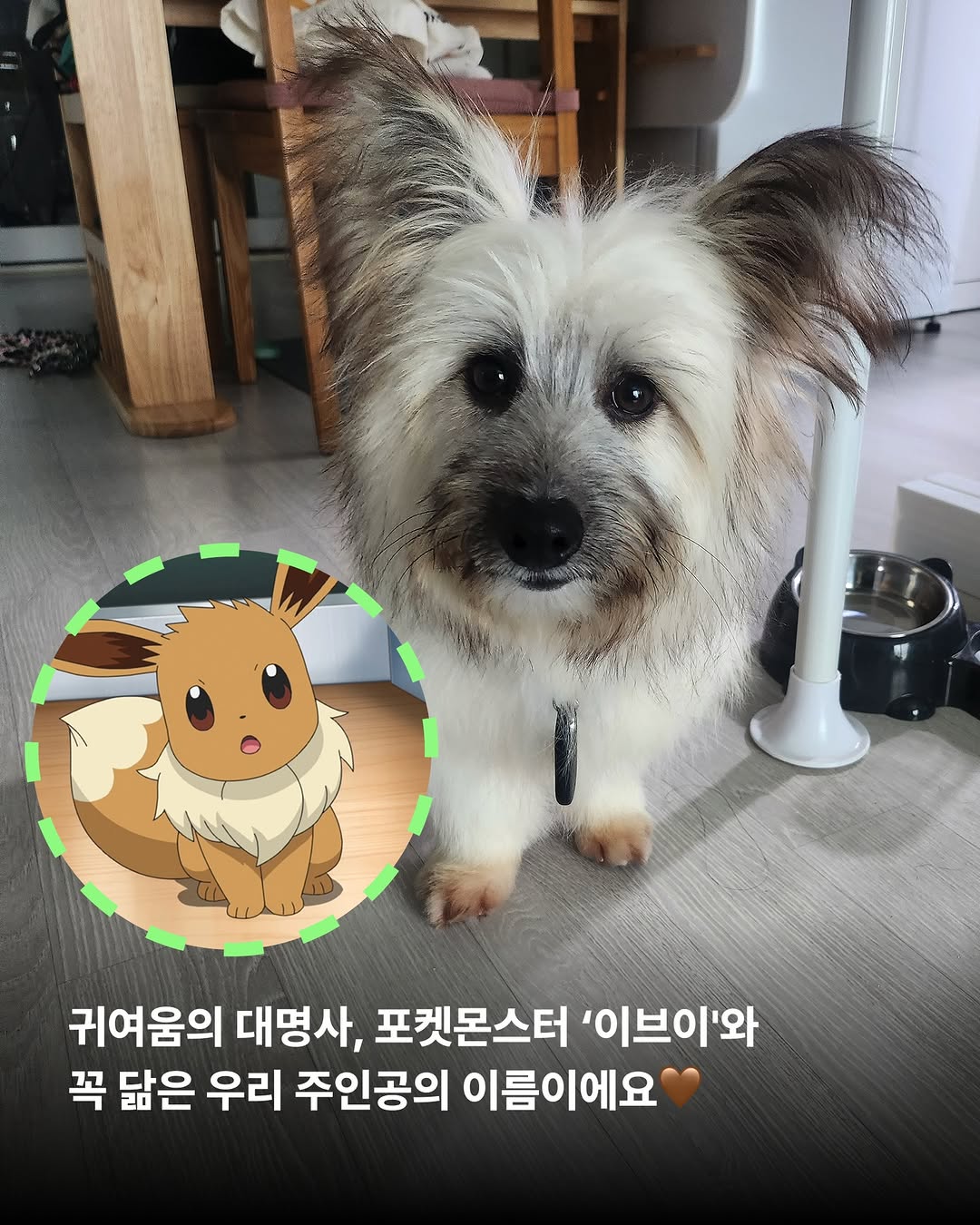 상세 사진 4
