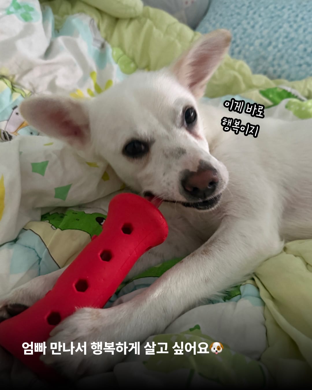 상세 사진 14
