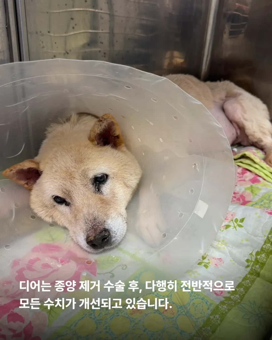 상세 사진 8