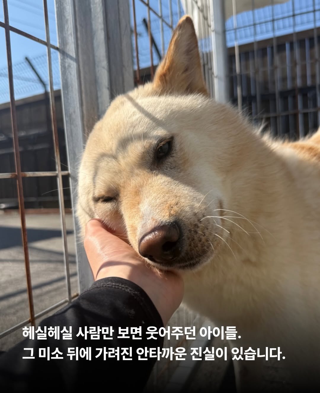상세 사진 2
