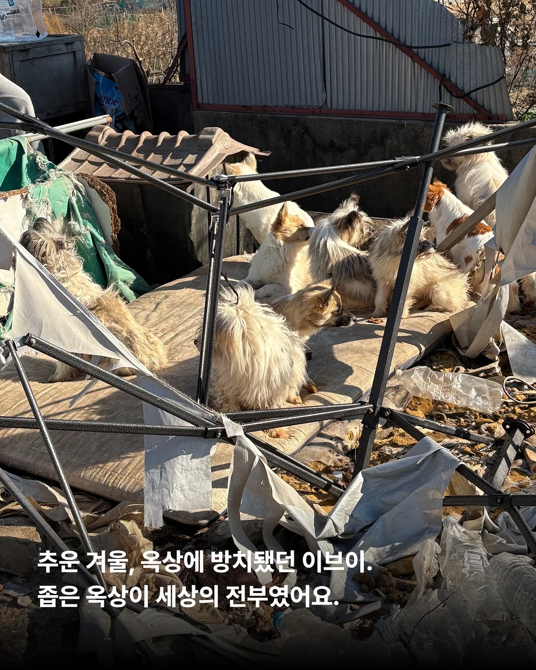 상세 사진 5