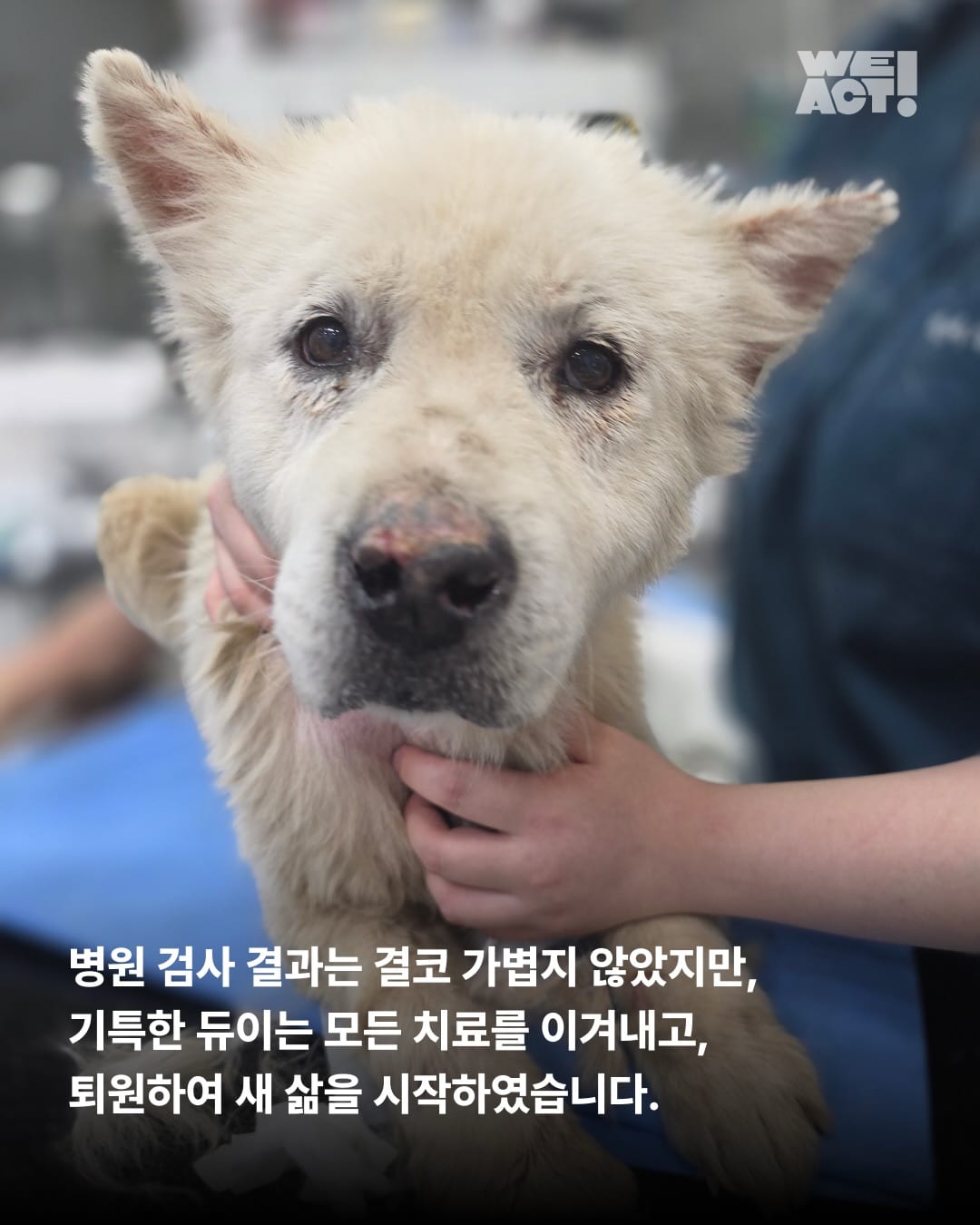 상세 사진 5