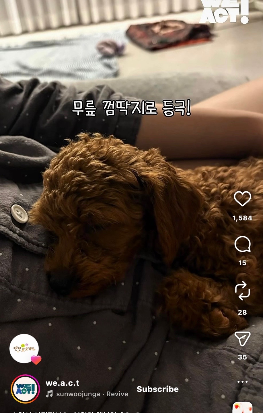 상세 사진 18