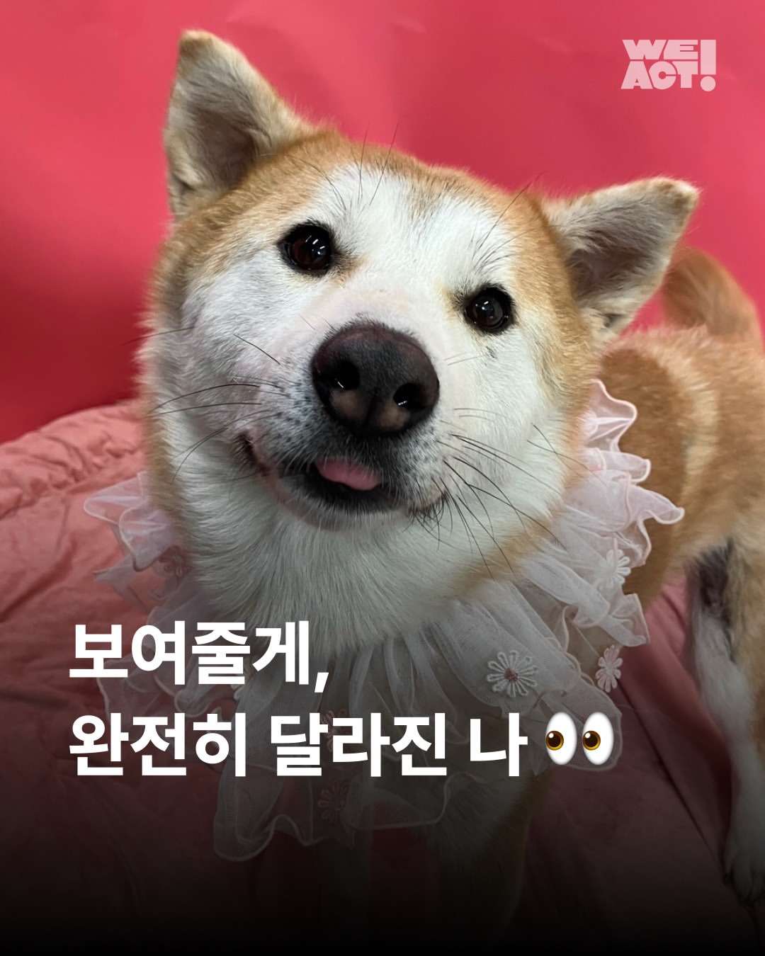 상세 사진 1