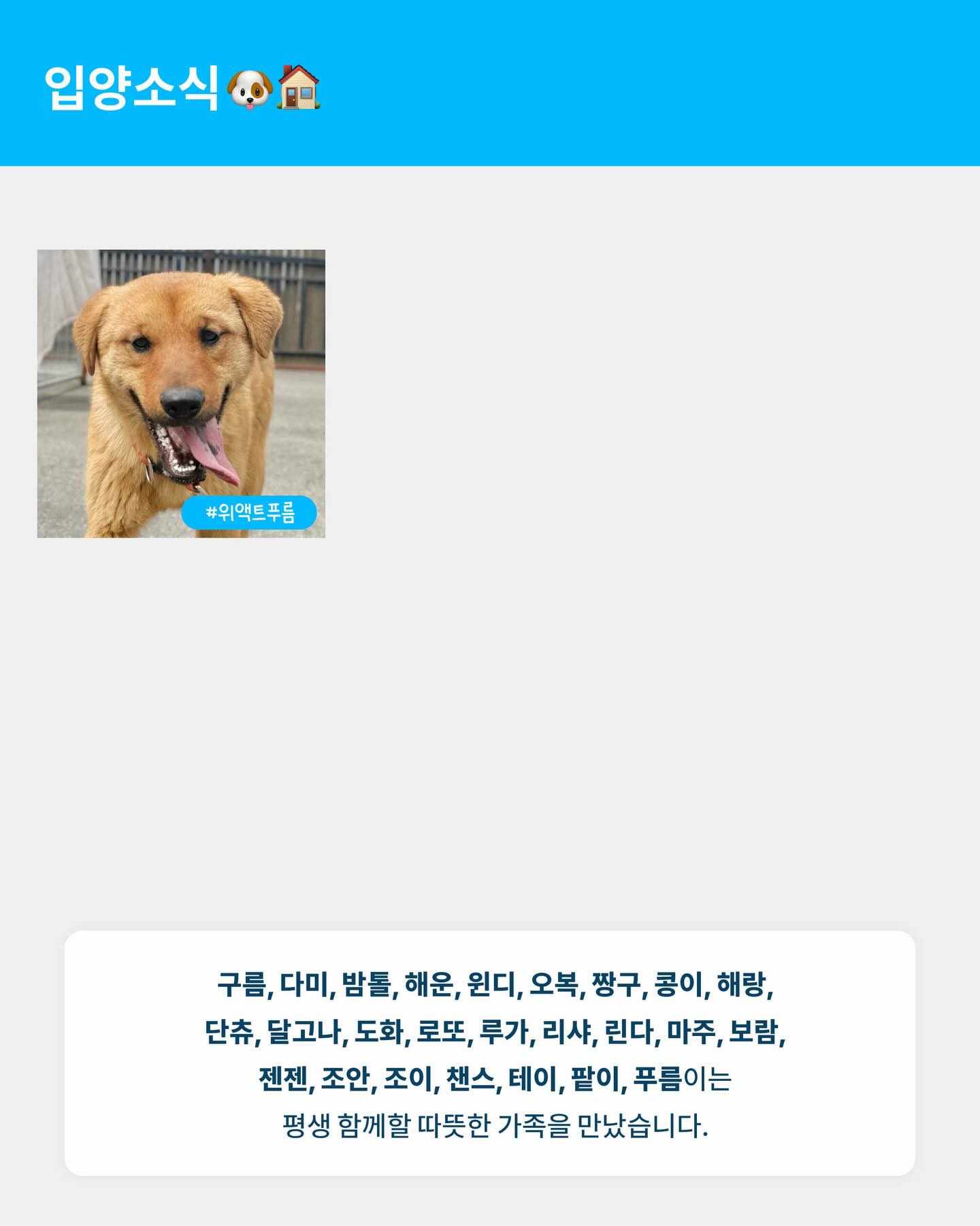 상세 사진 6