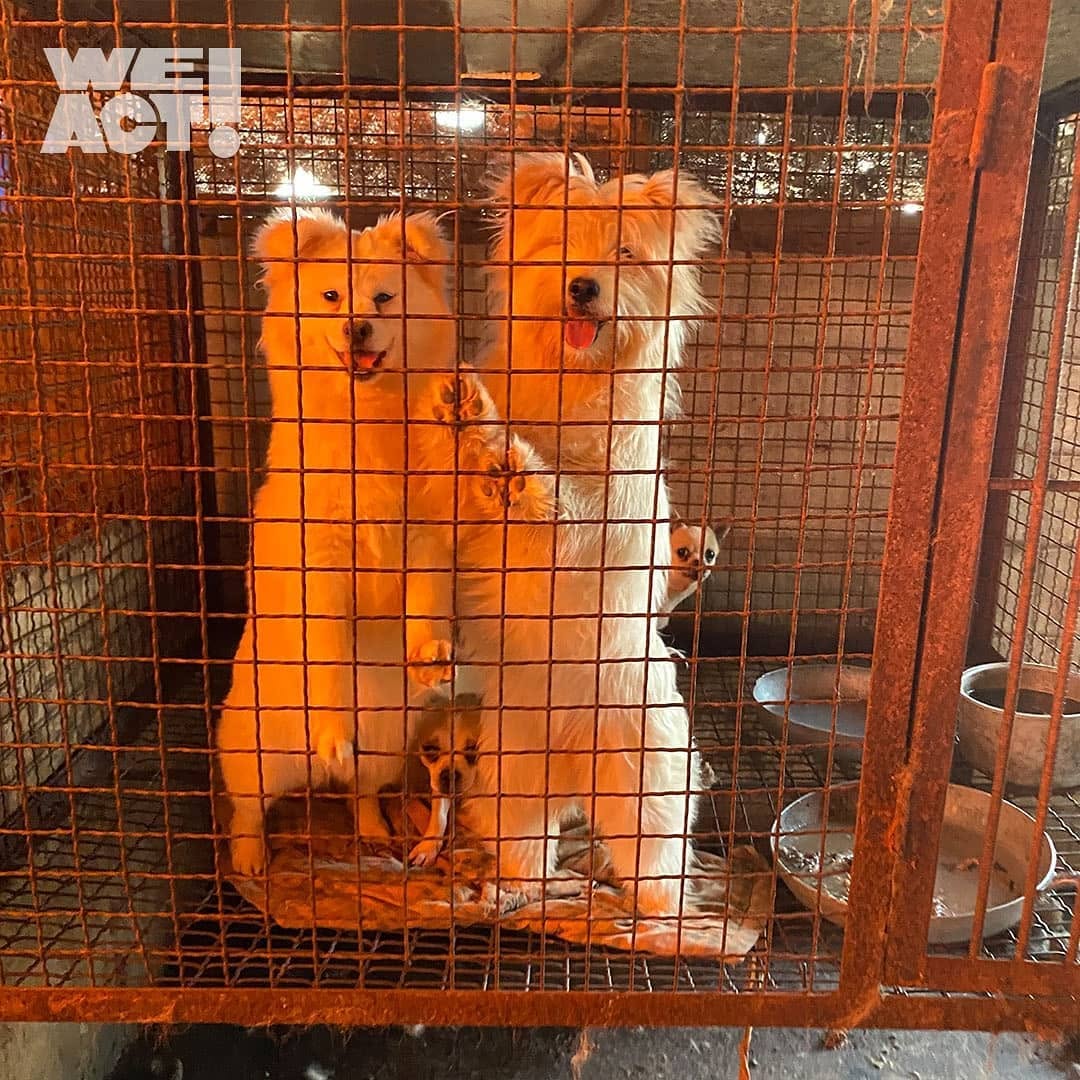 상세 사진 5