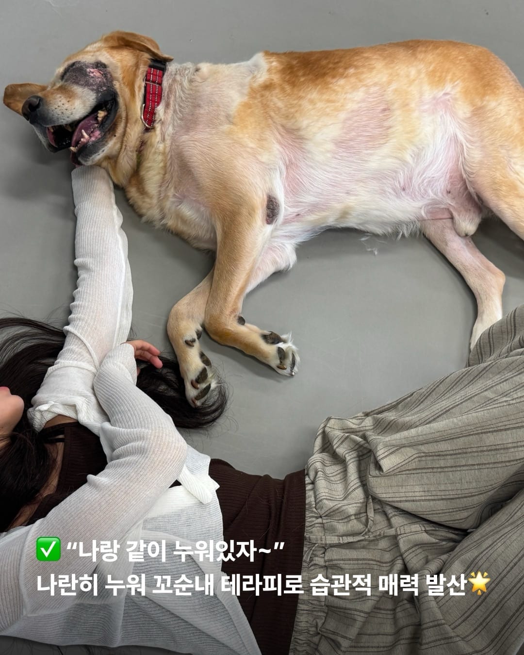 상세 사진 6