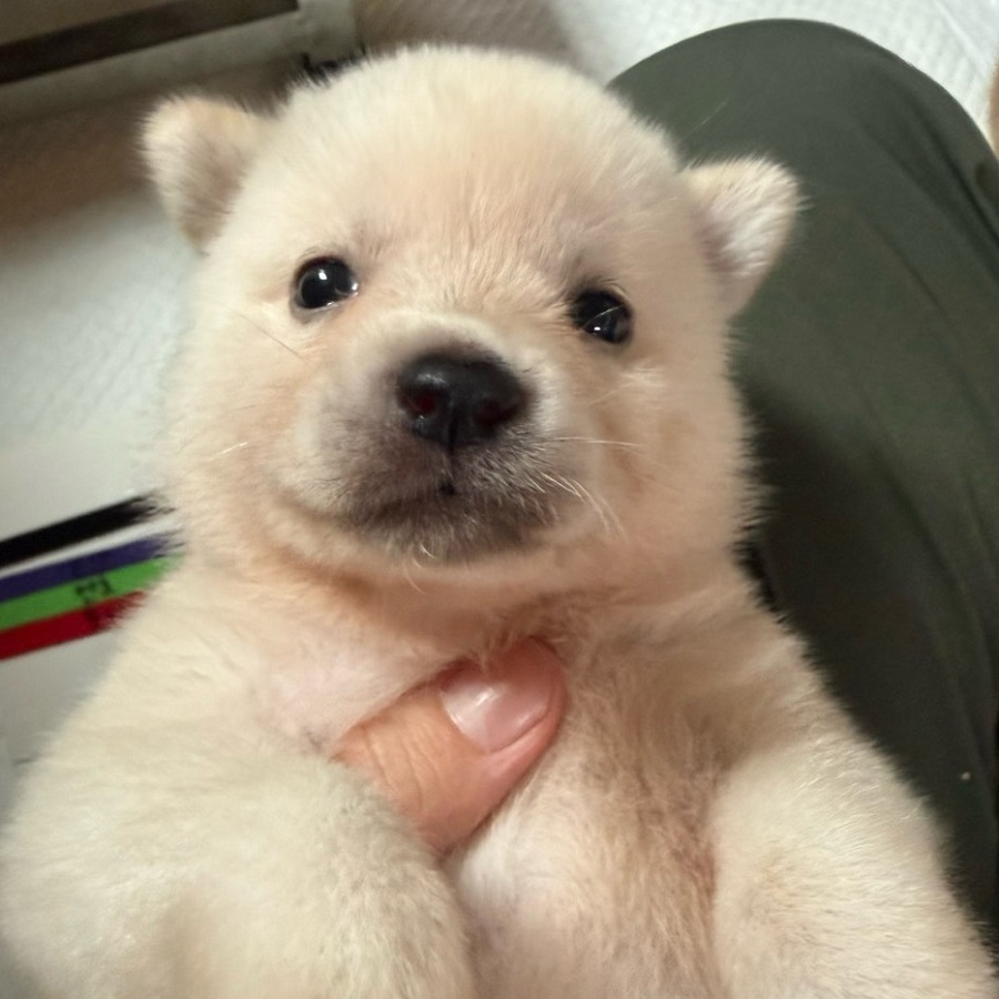 상세 사진 2