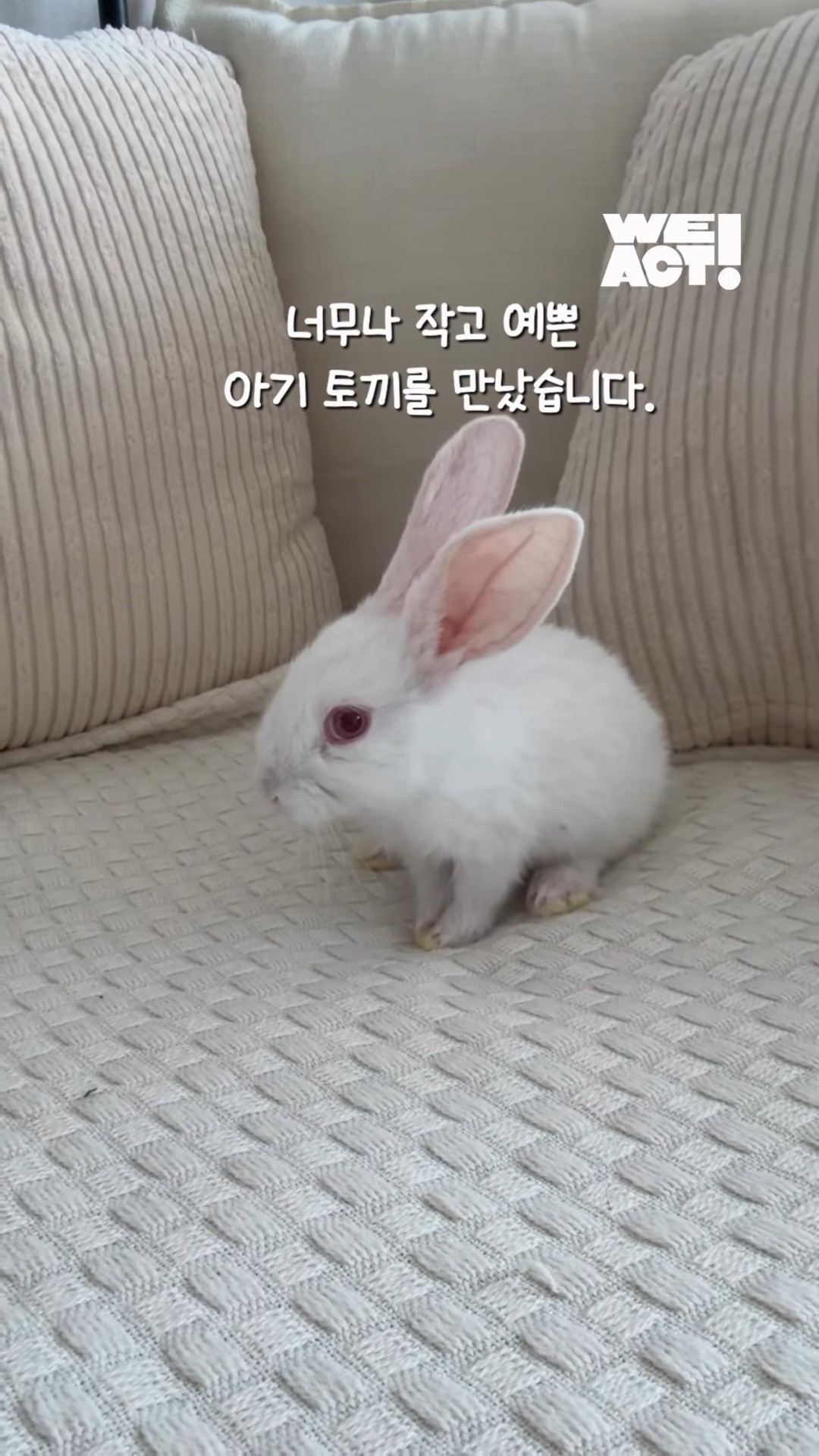 상세 사진 1