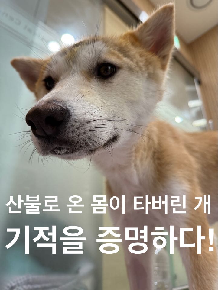 상세 사진 1