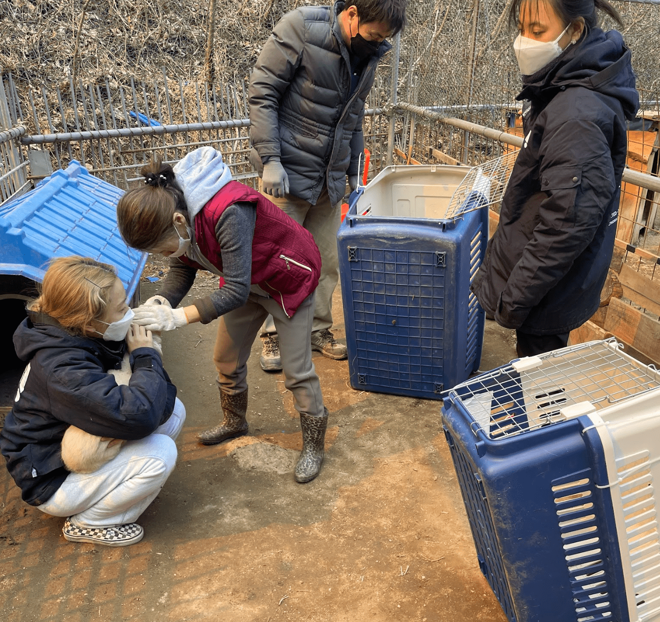 상세 사진 4