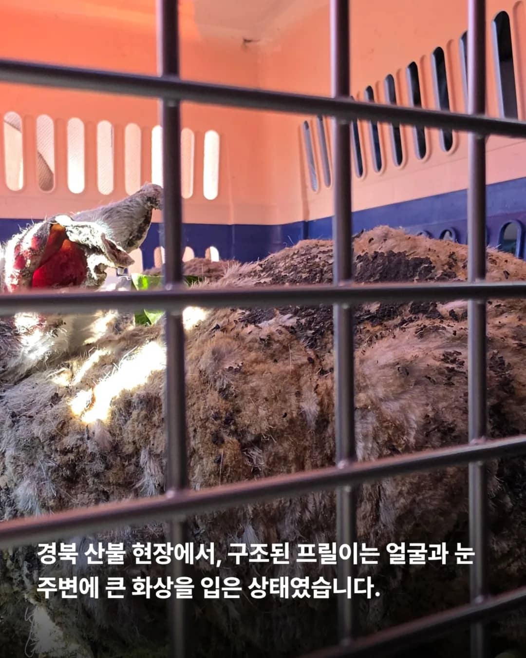 상세 사진 2