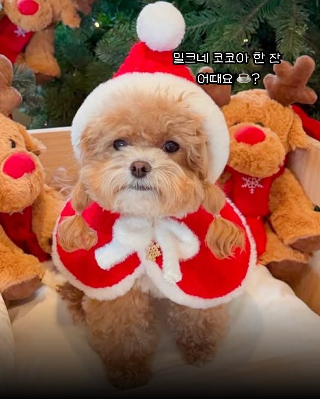 상세 사진 17