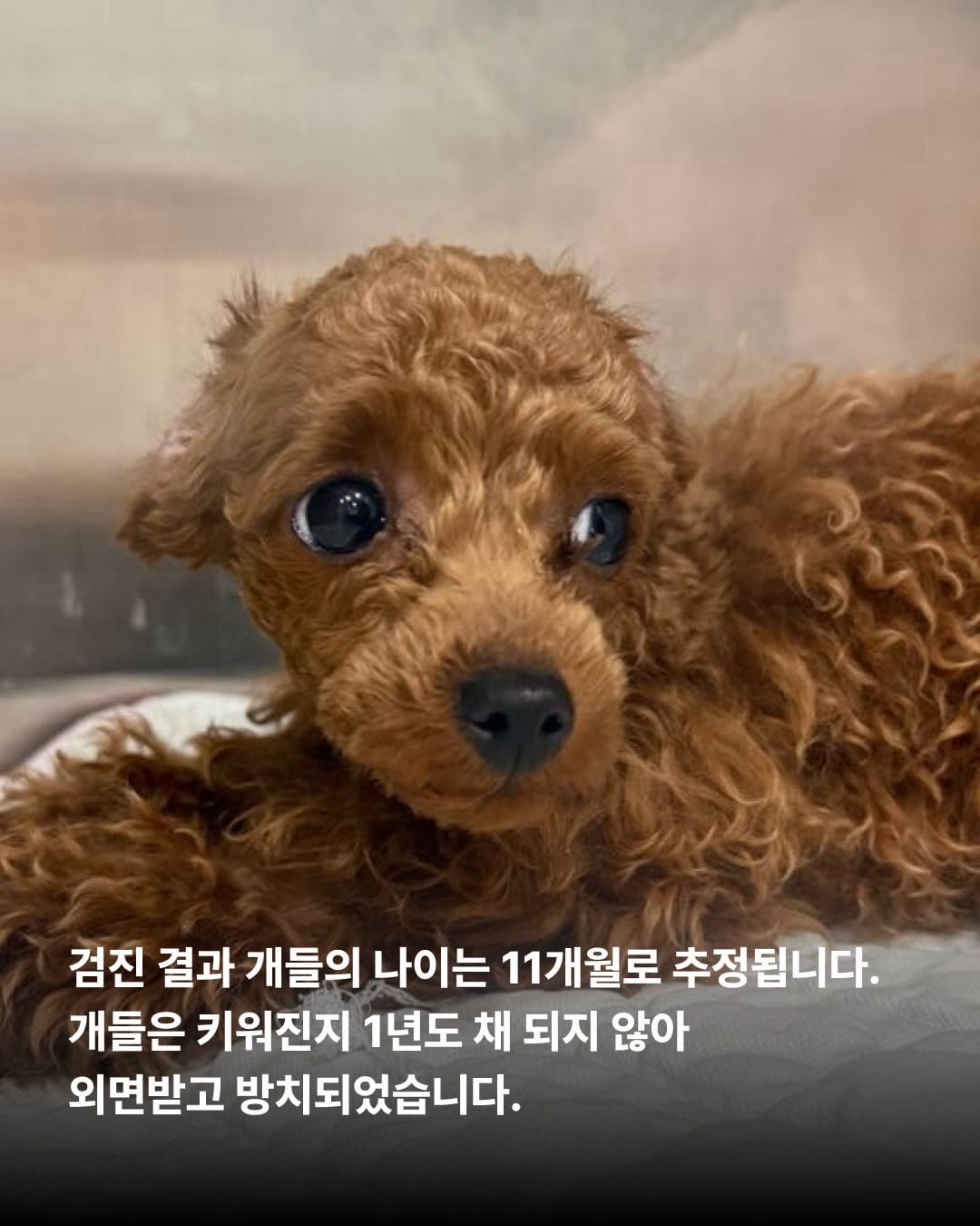 상세 사진 4
