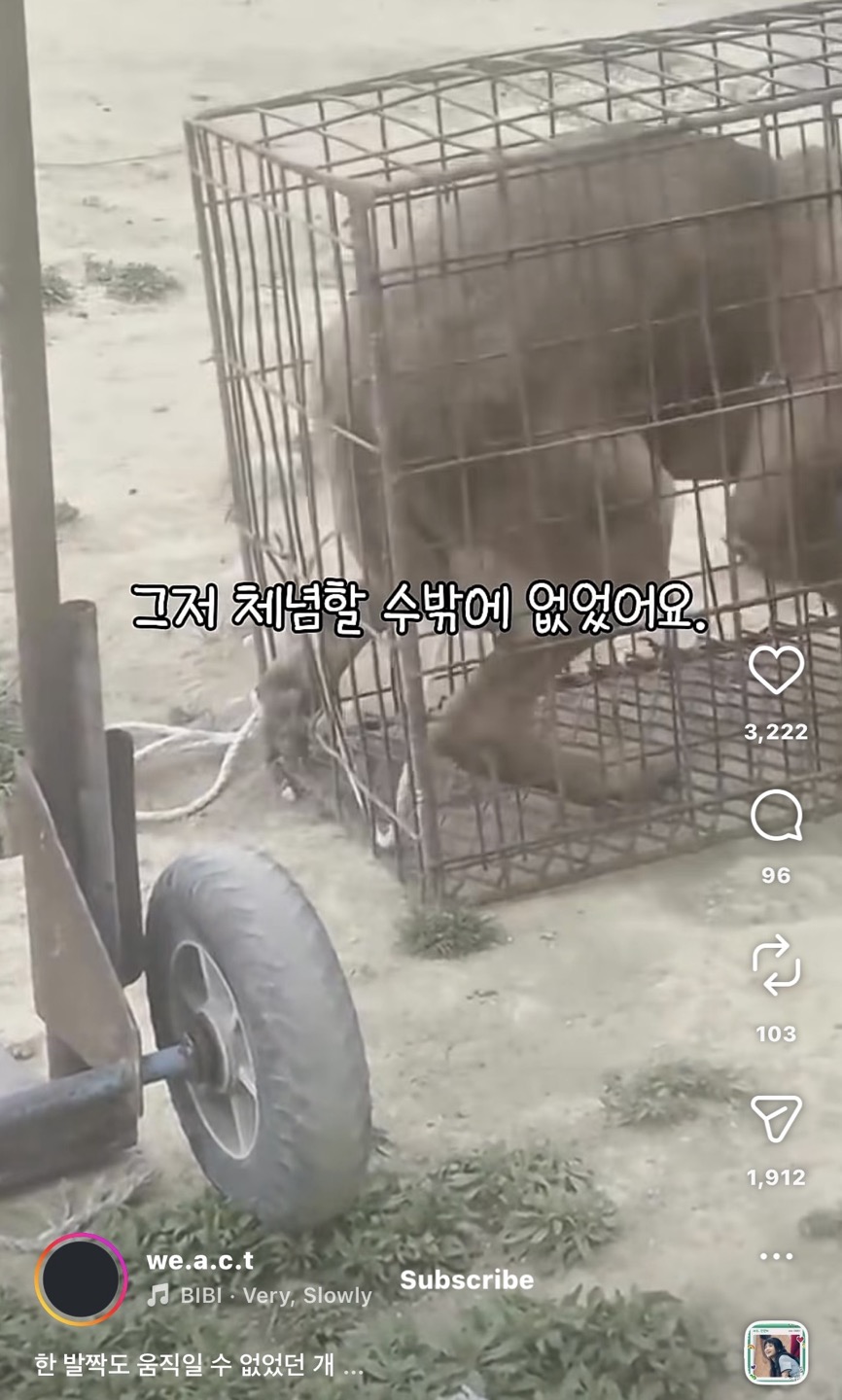 상세 사진 3