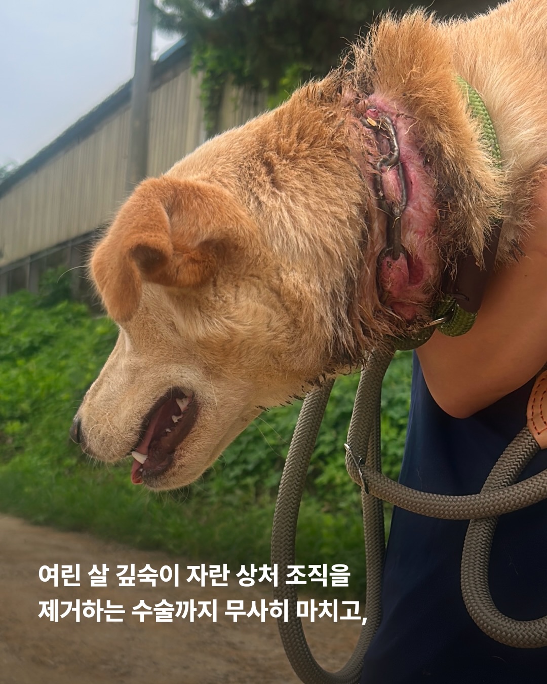 상세 사진 3