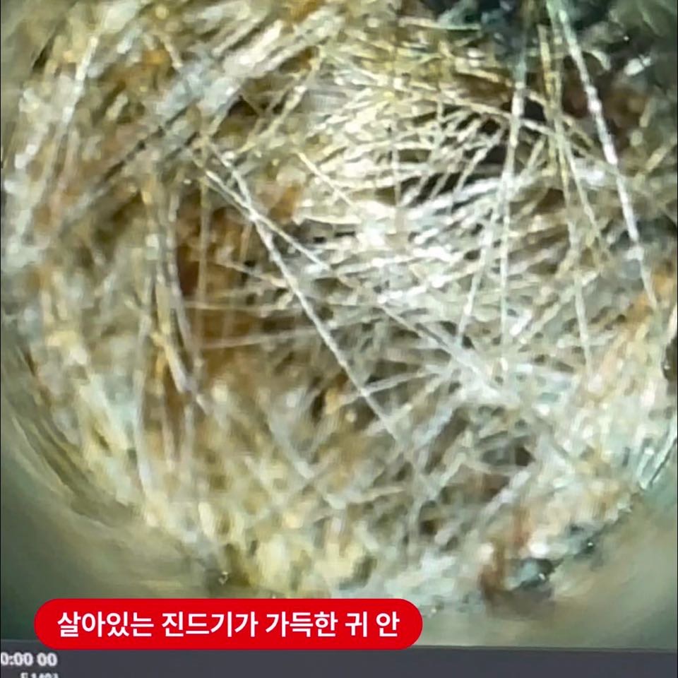 상세 사진 8