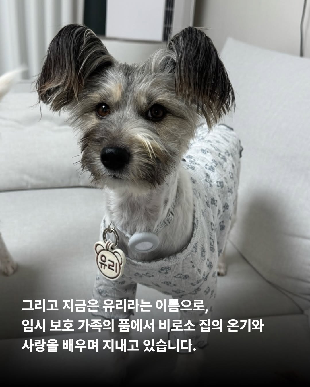 상세 사진 5