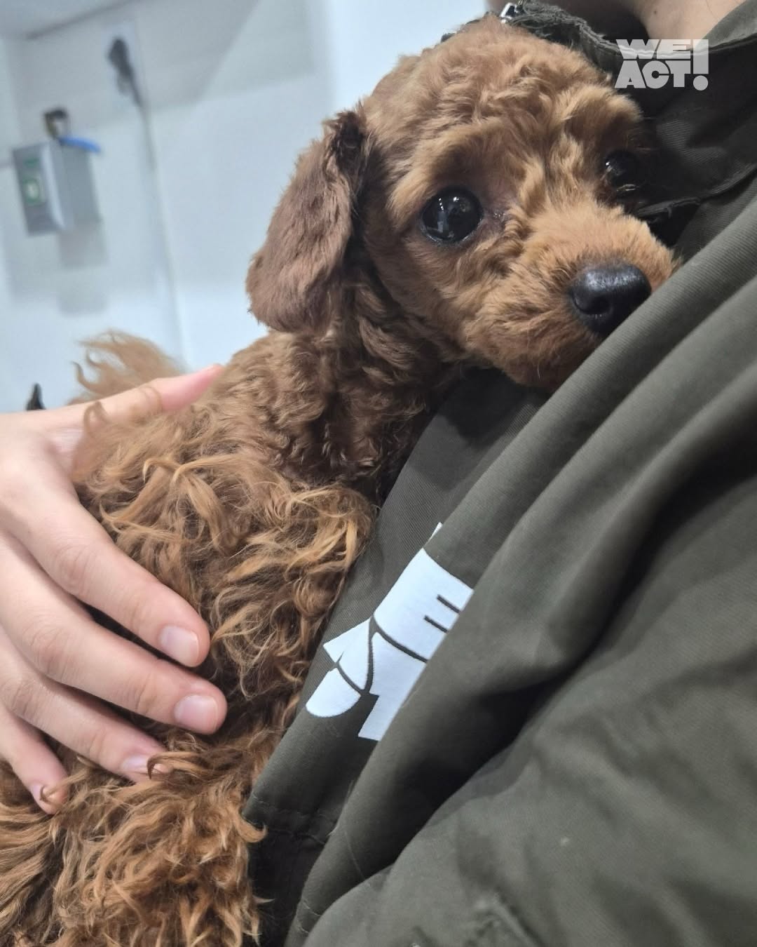 상세 사진 5