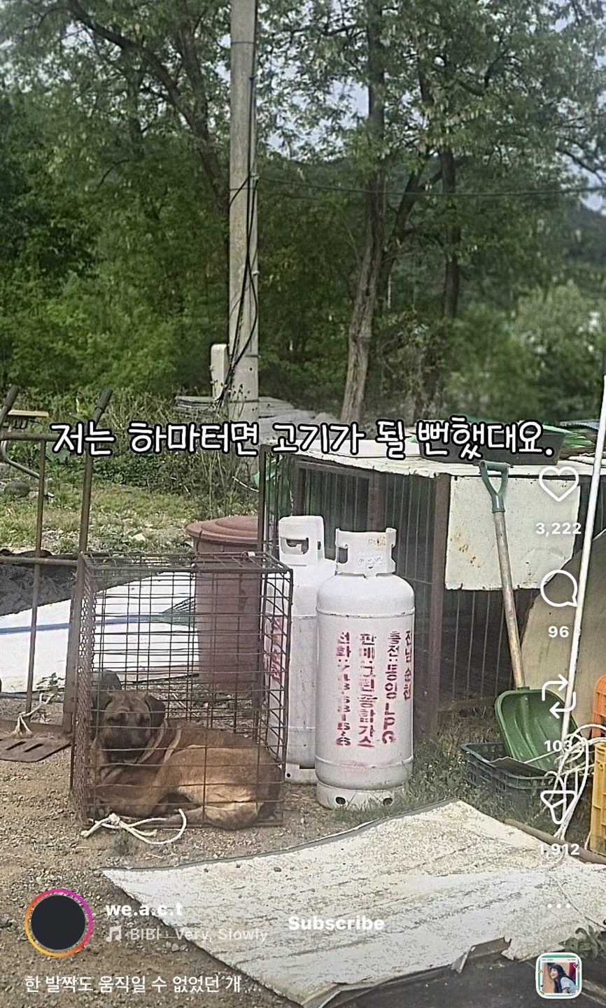 상세 사진 1