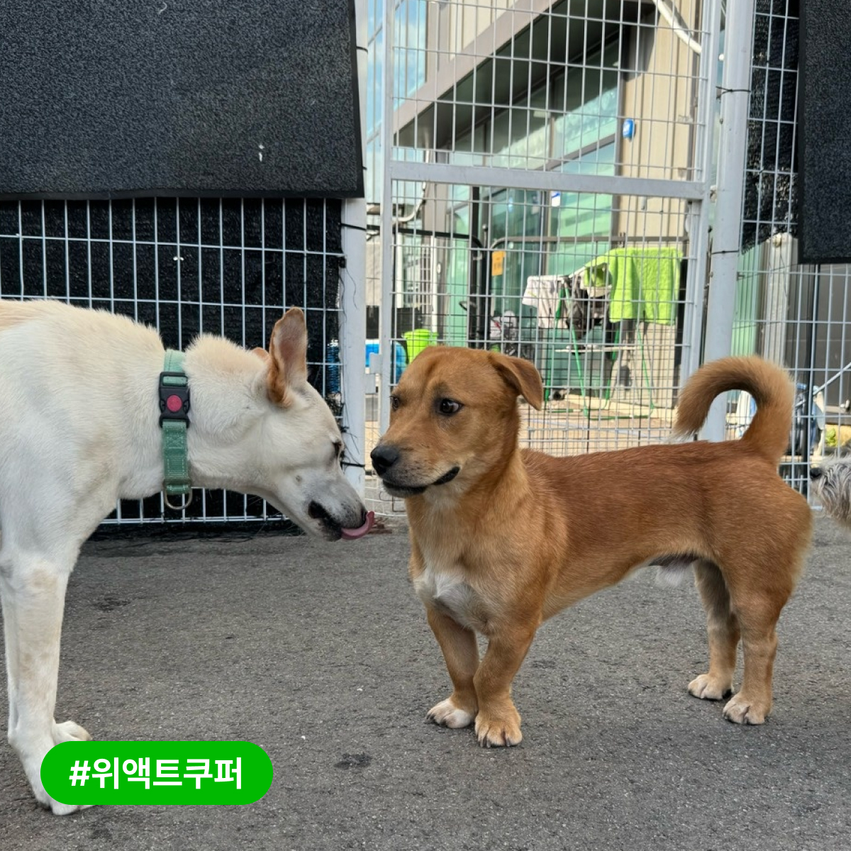 상세 사진 4