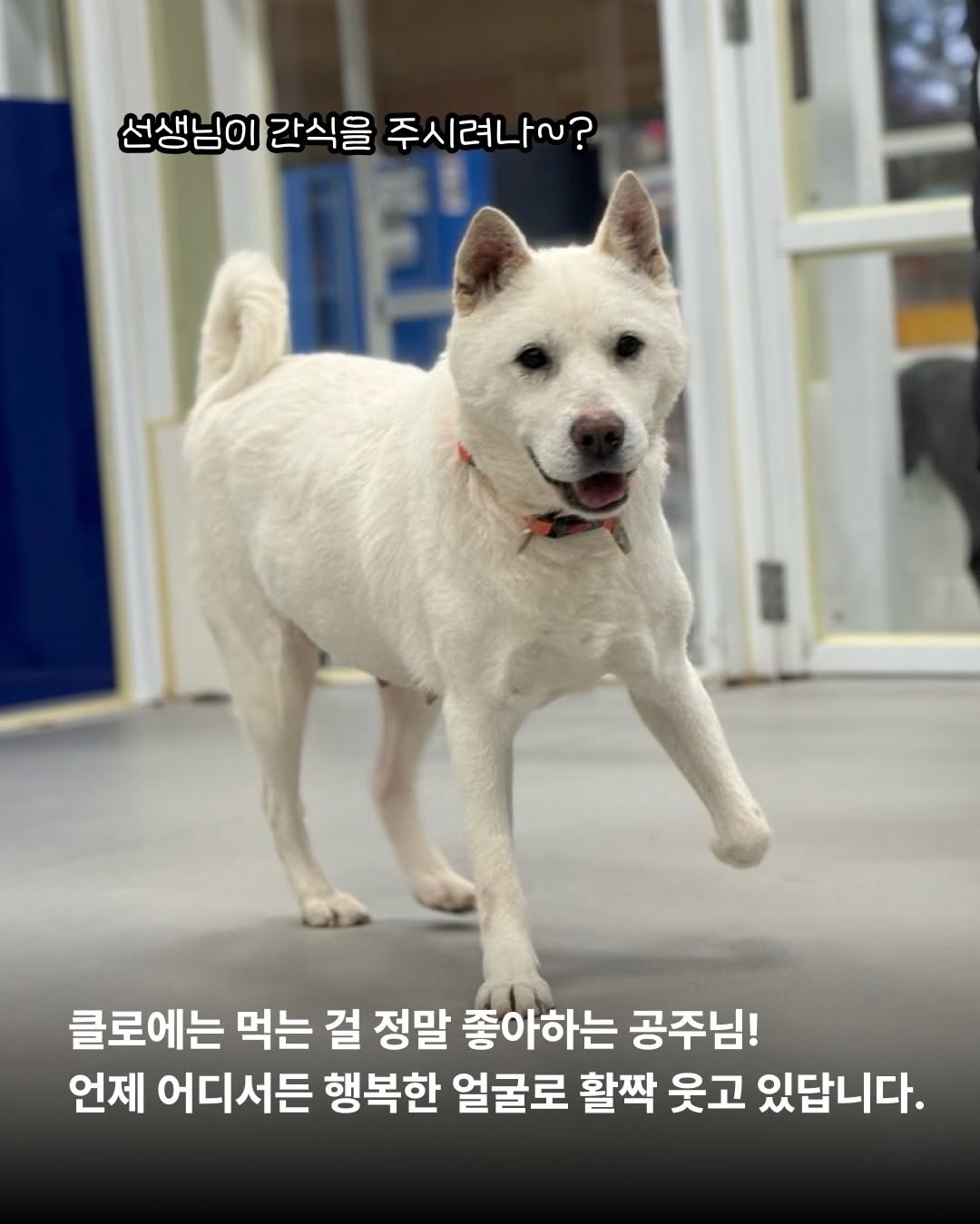 상세 사진 4
