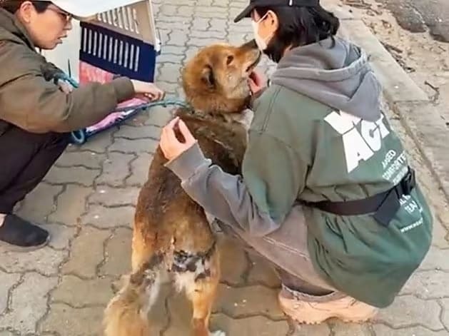 상세 사진 1