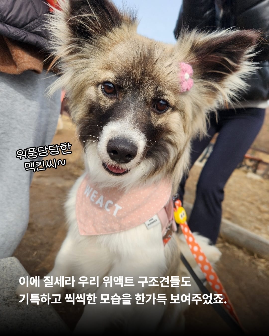 상세 사진 5