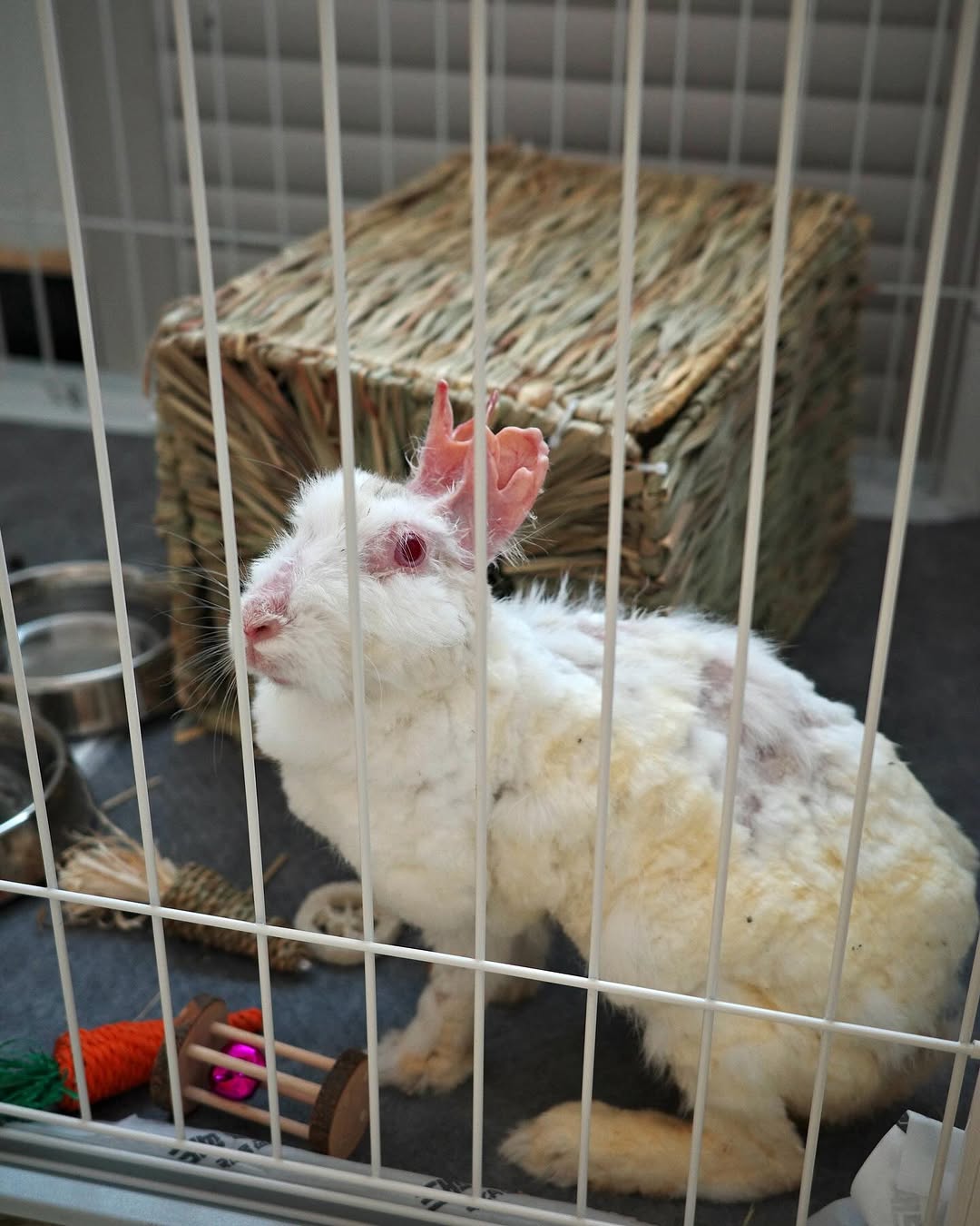 상세 사진 7