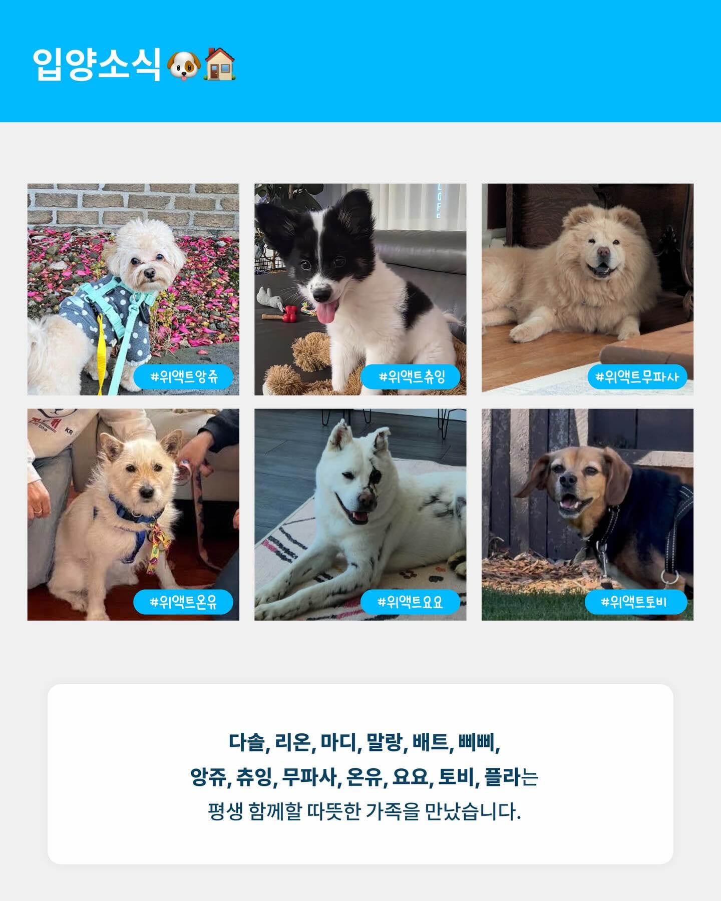 상세 사진 3