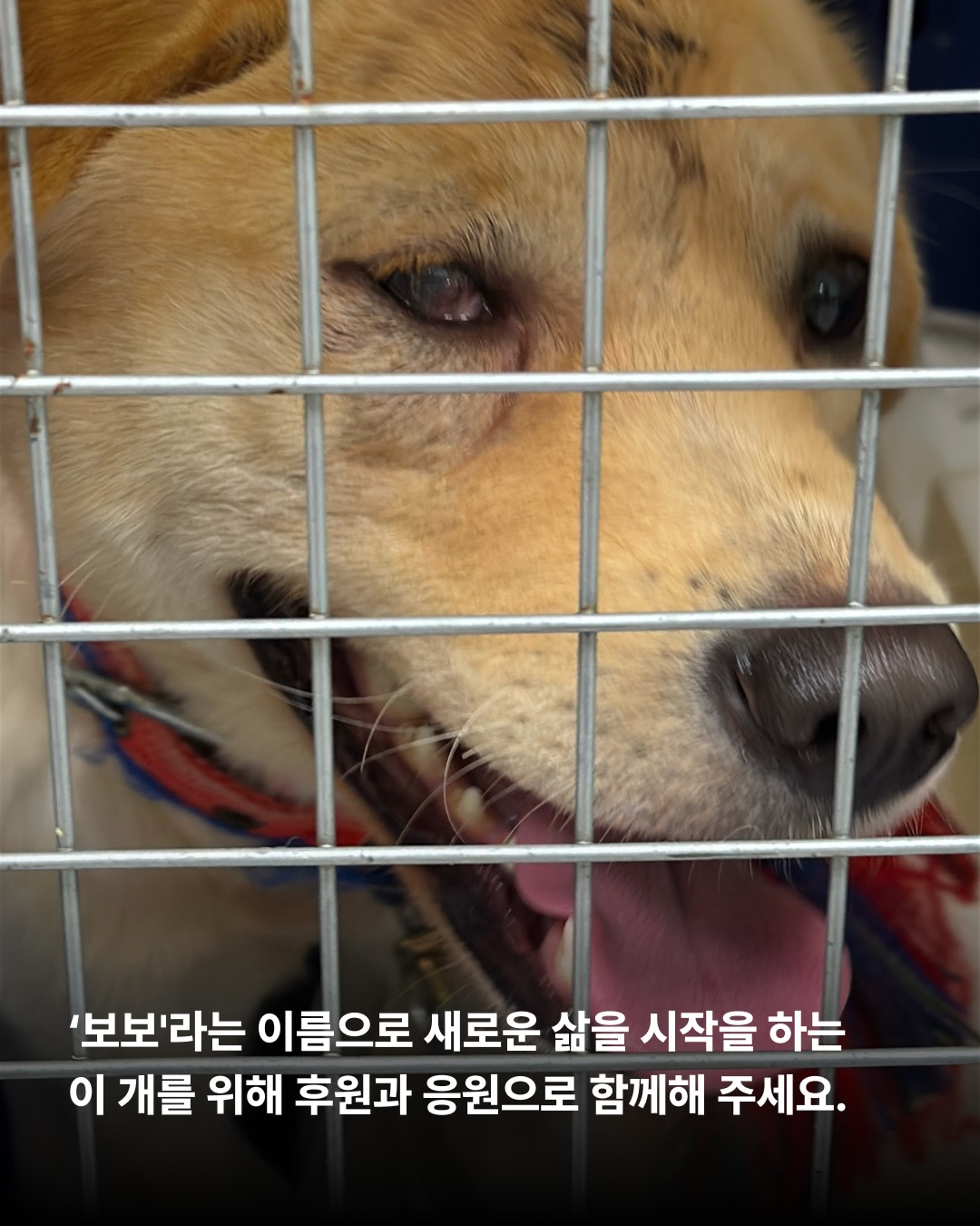 상세 사진 7