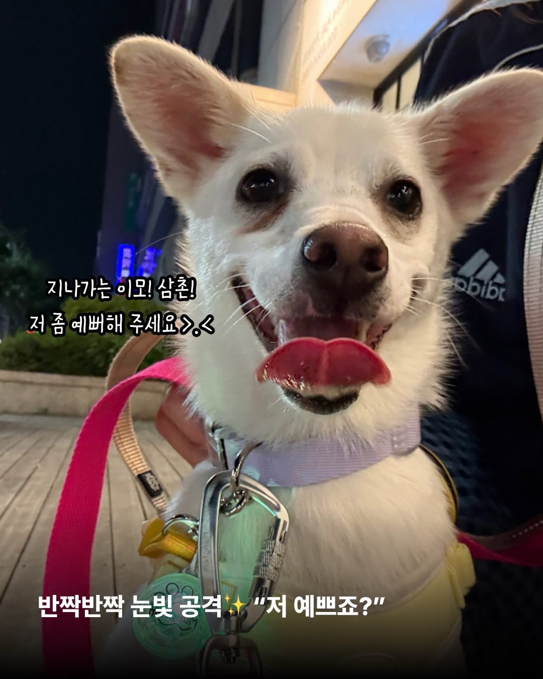 상세 사진 6
