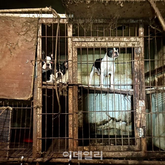 상세 사진 4