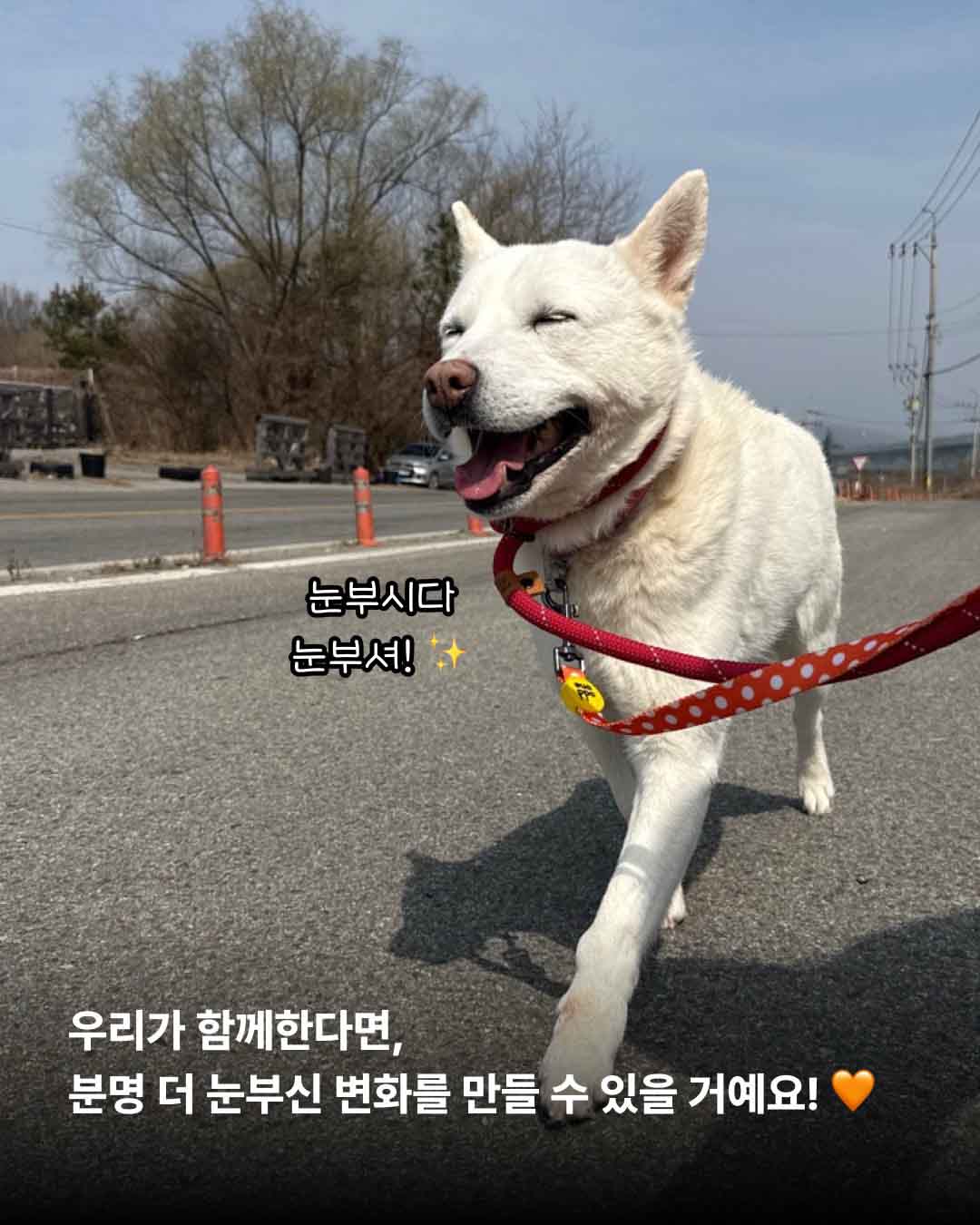 상세 사진 14