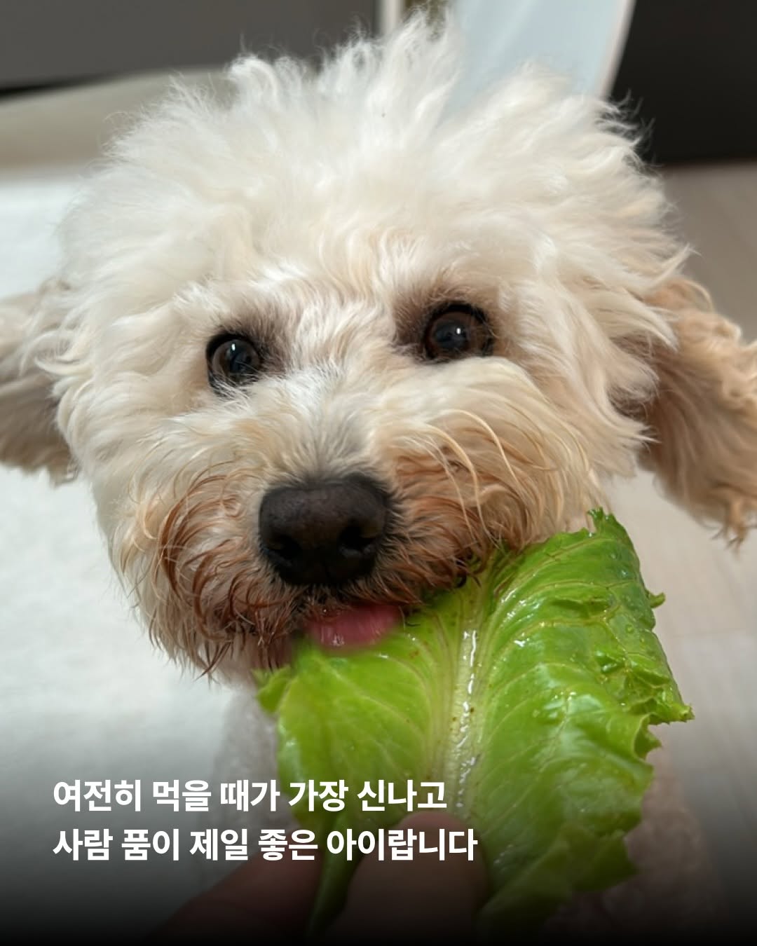 상세 사진 9