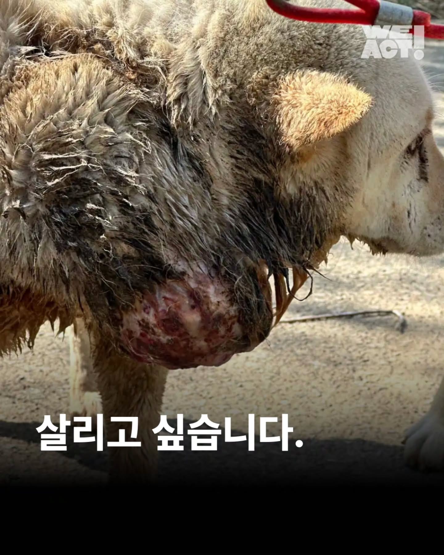 상세 사진 1