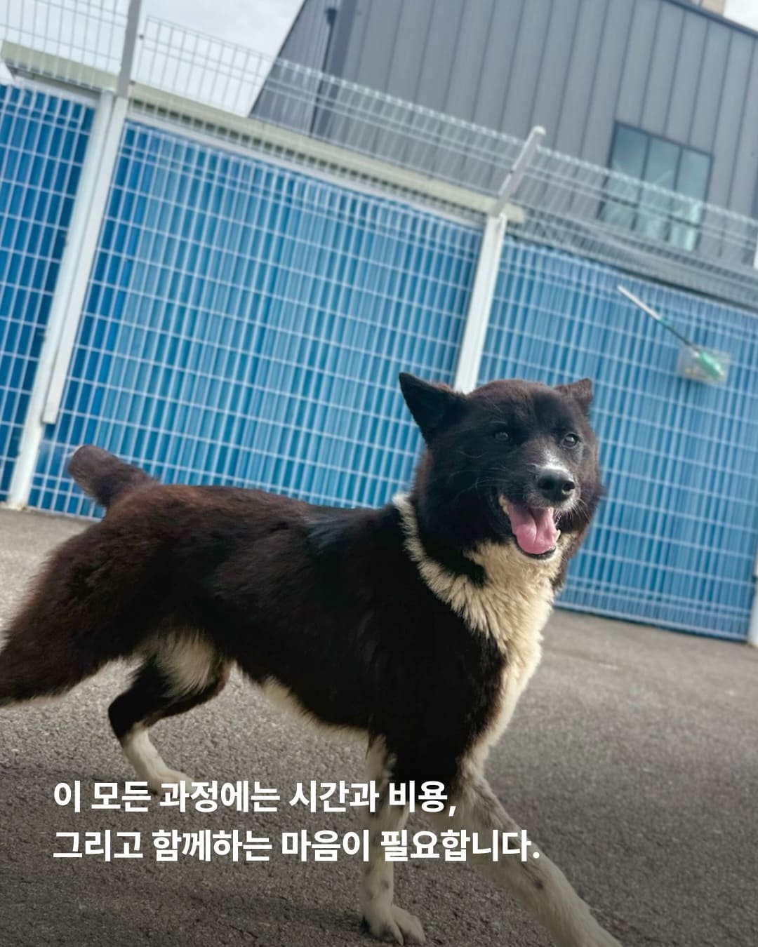 상세 사진 7