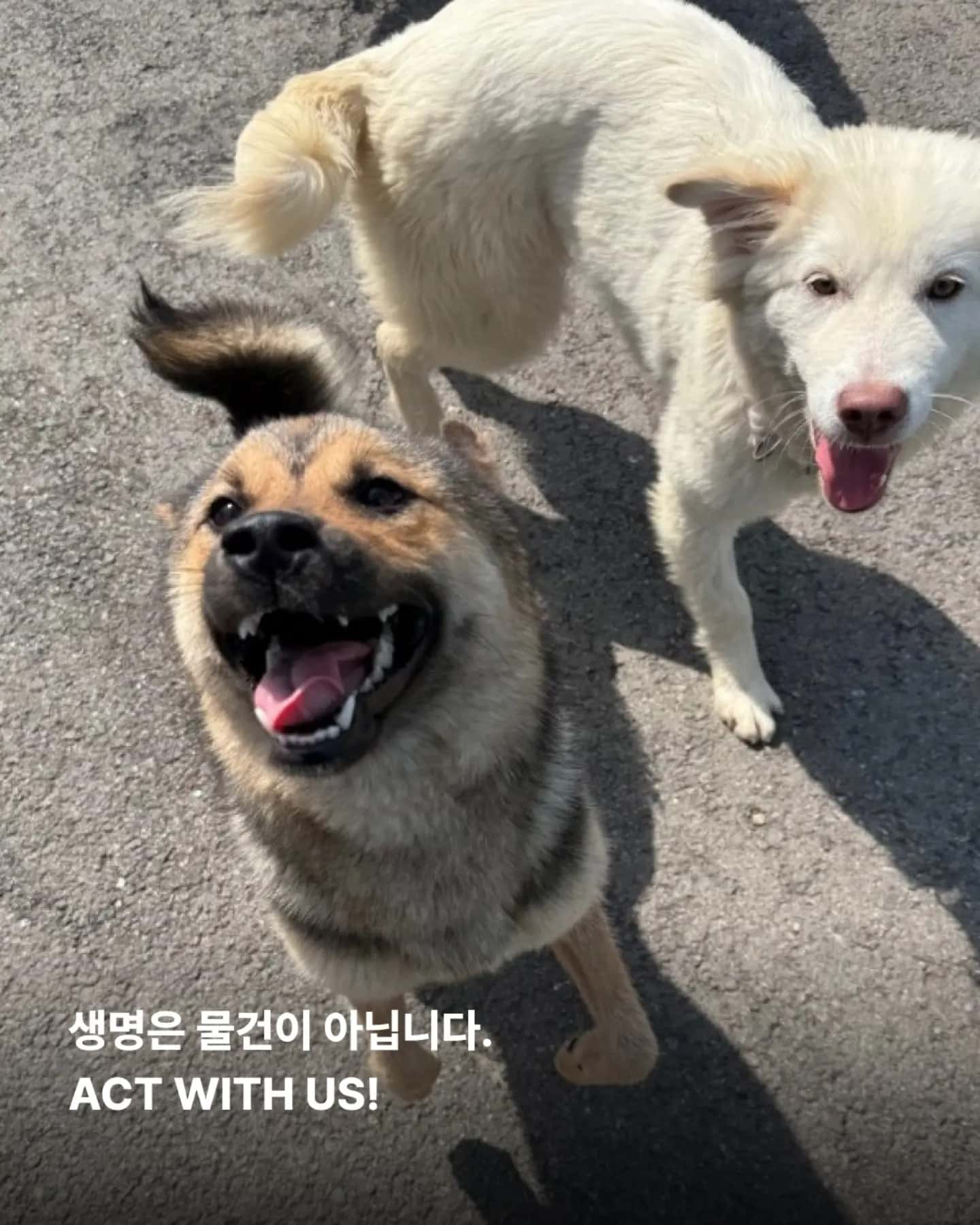 상세 사진 18