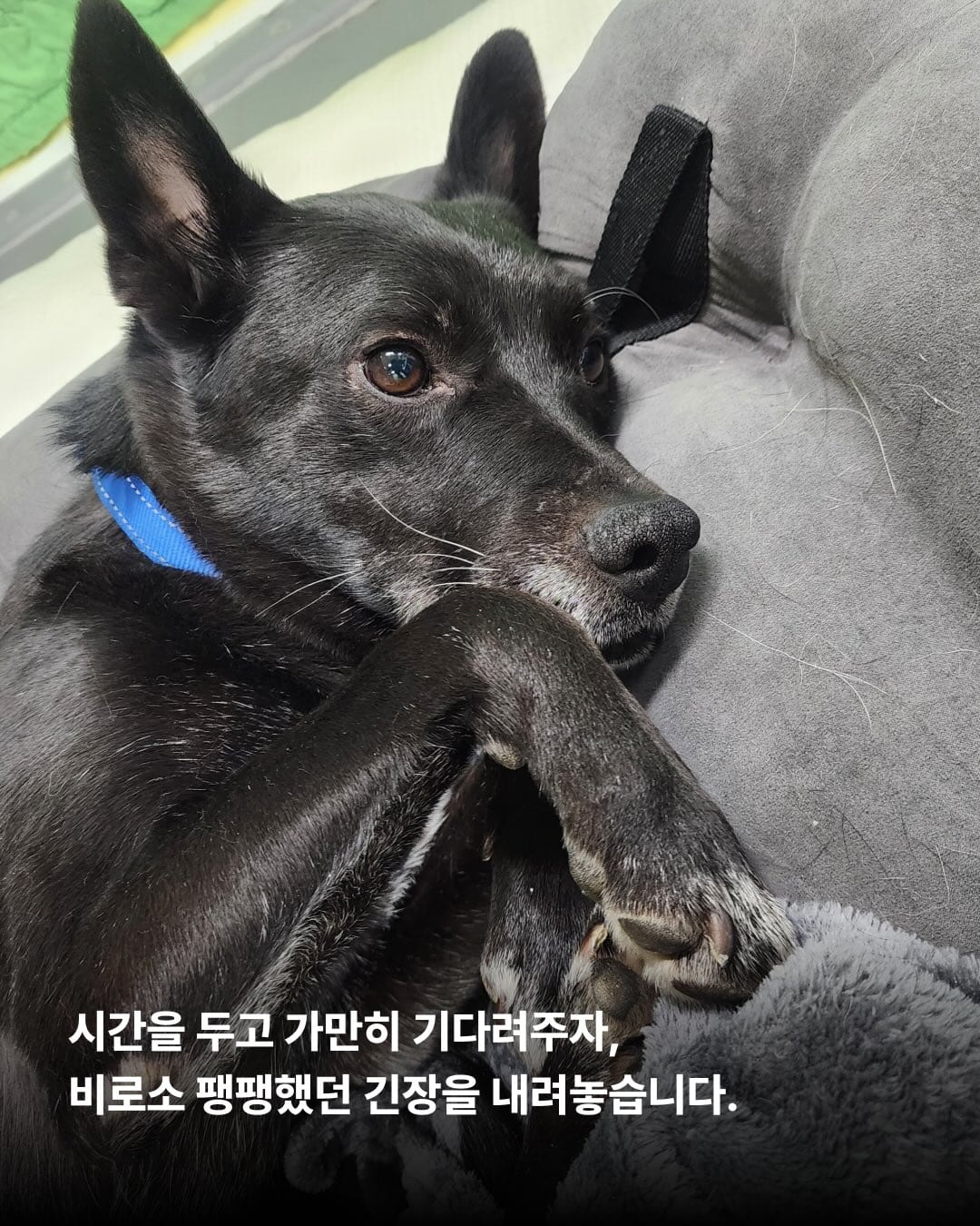 상세 사진 4