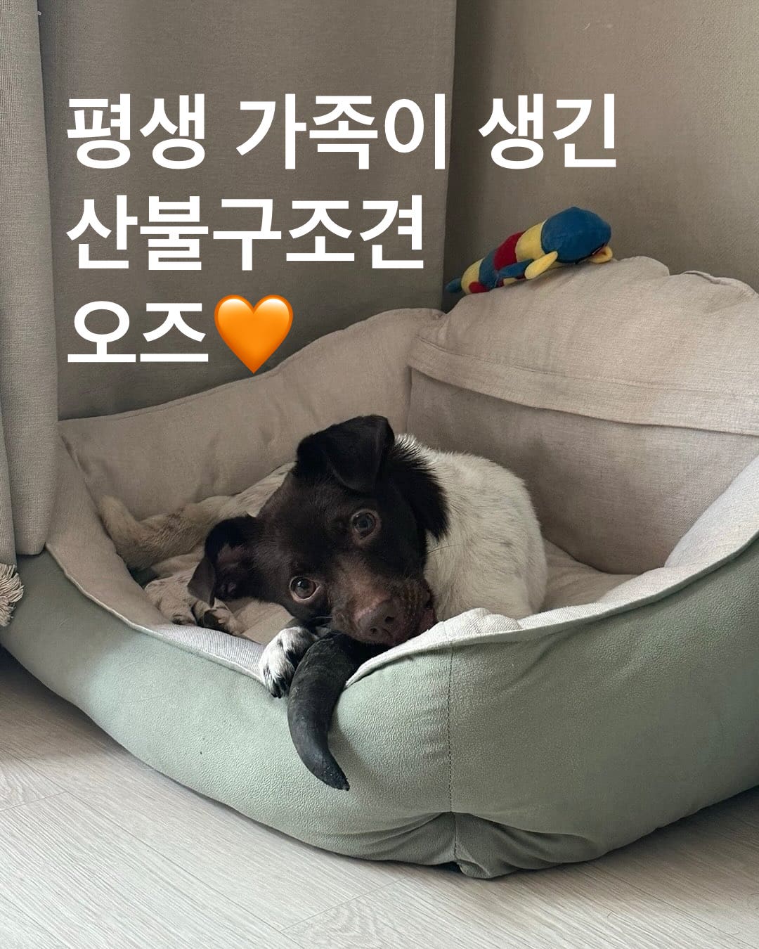 상세 사진 1