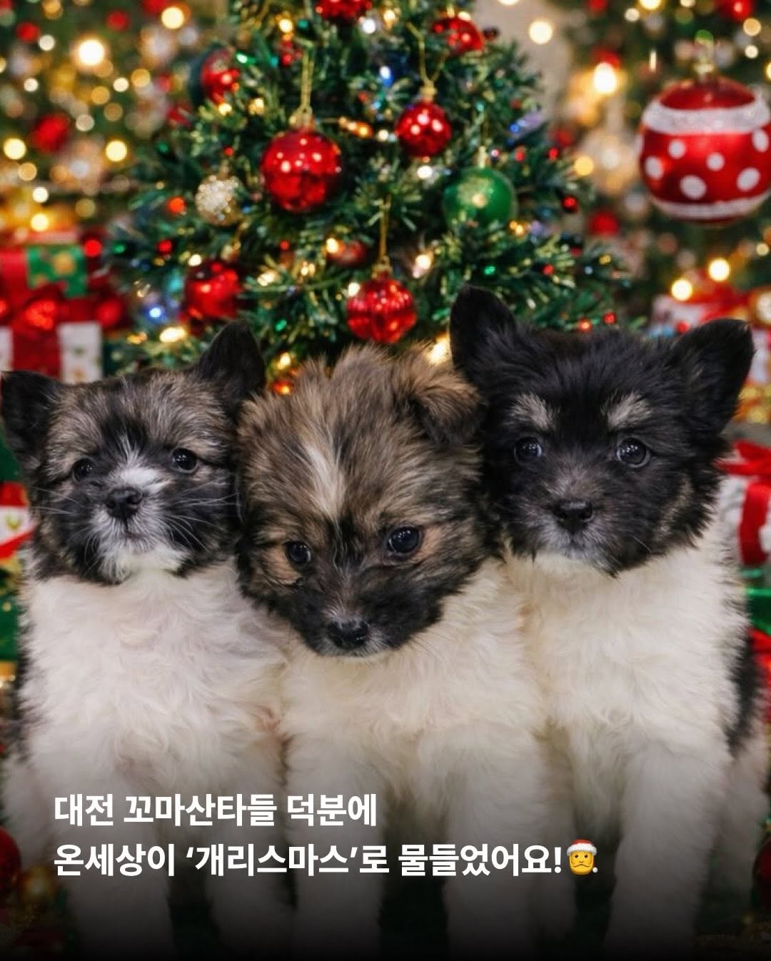 상세 사진 9