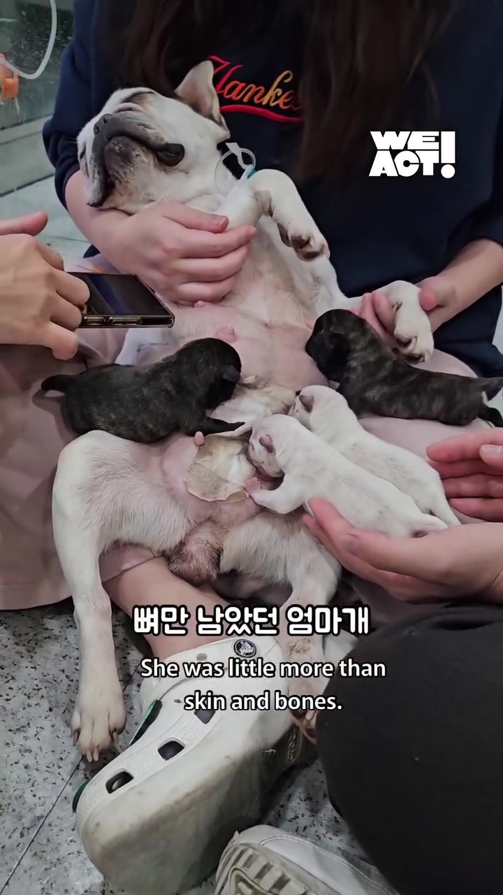 상세 사진 8