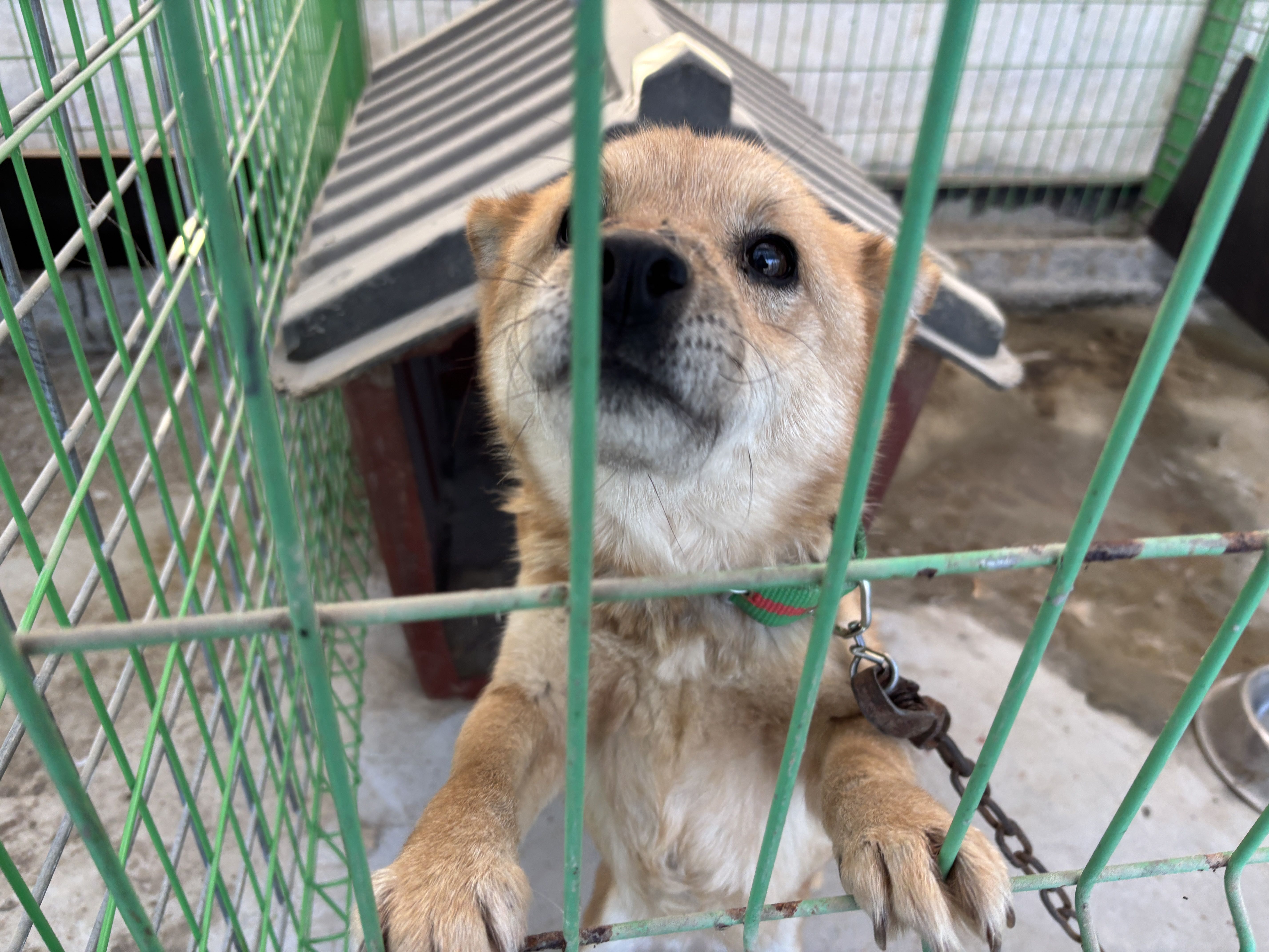 상세 사진 1