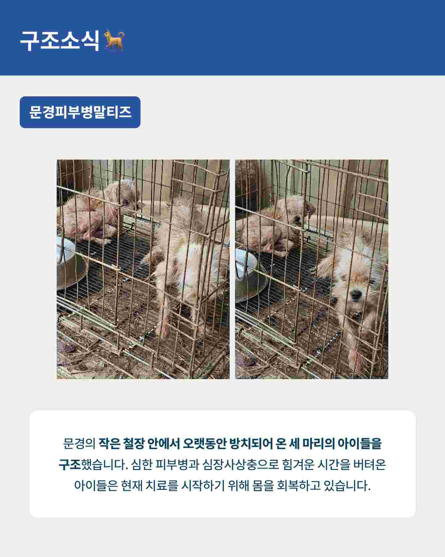 상세 사진 5