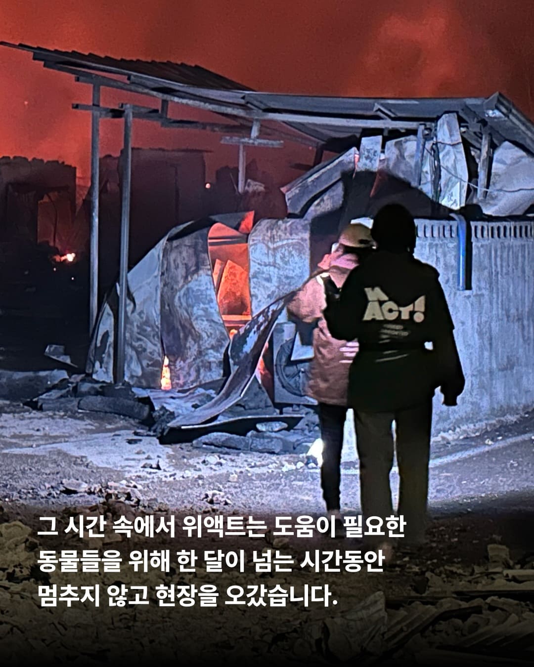 상세 사진 2