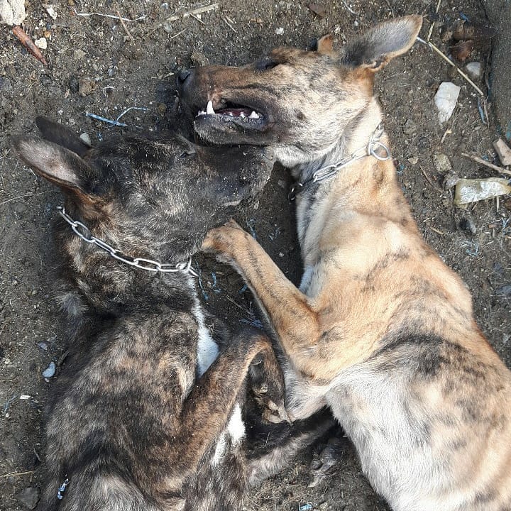 상세 사진 9