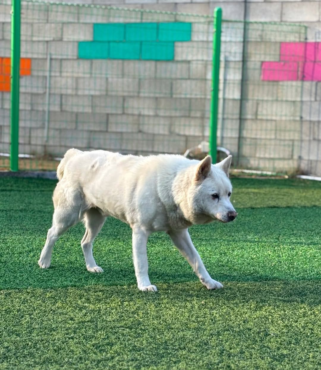 상세 사진 5
