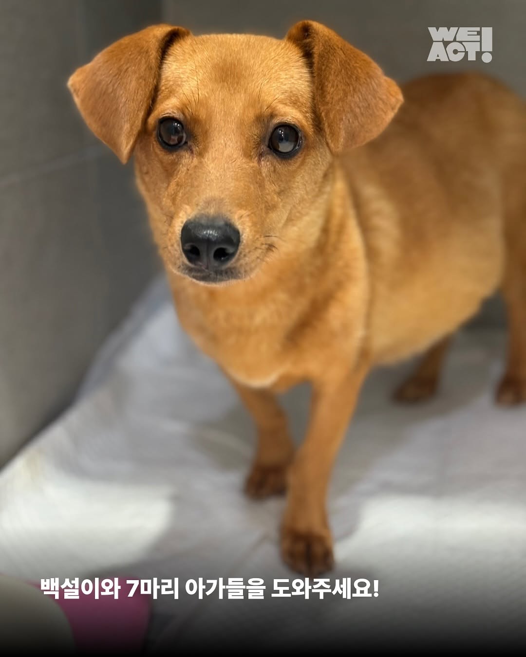 상세 사진 9