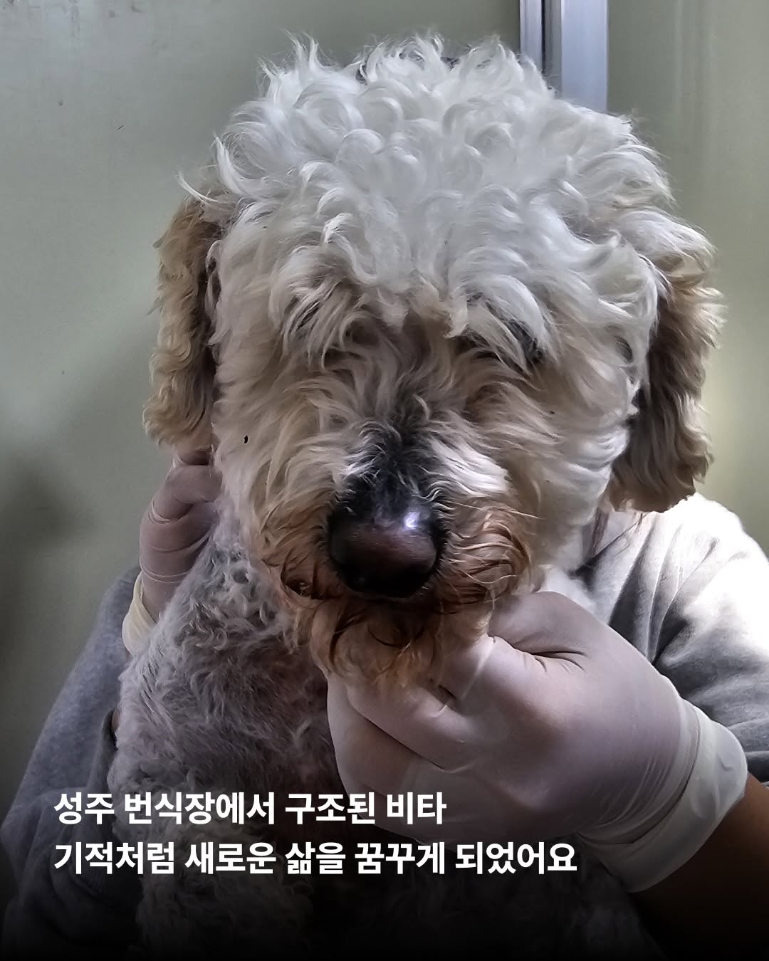 상세 사진 2