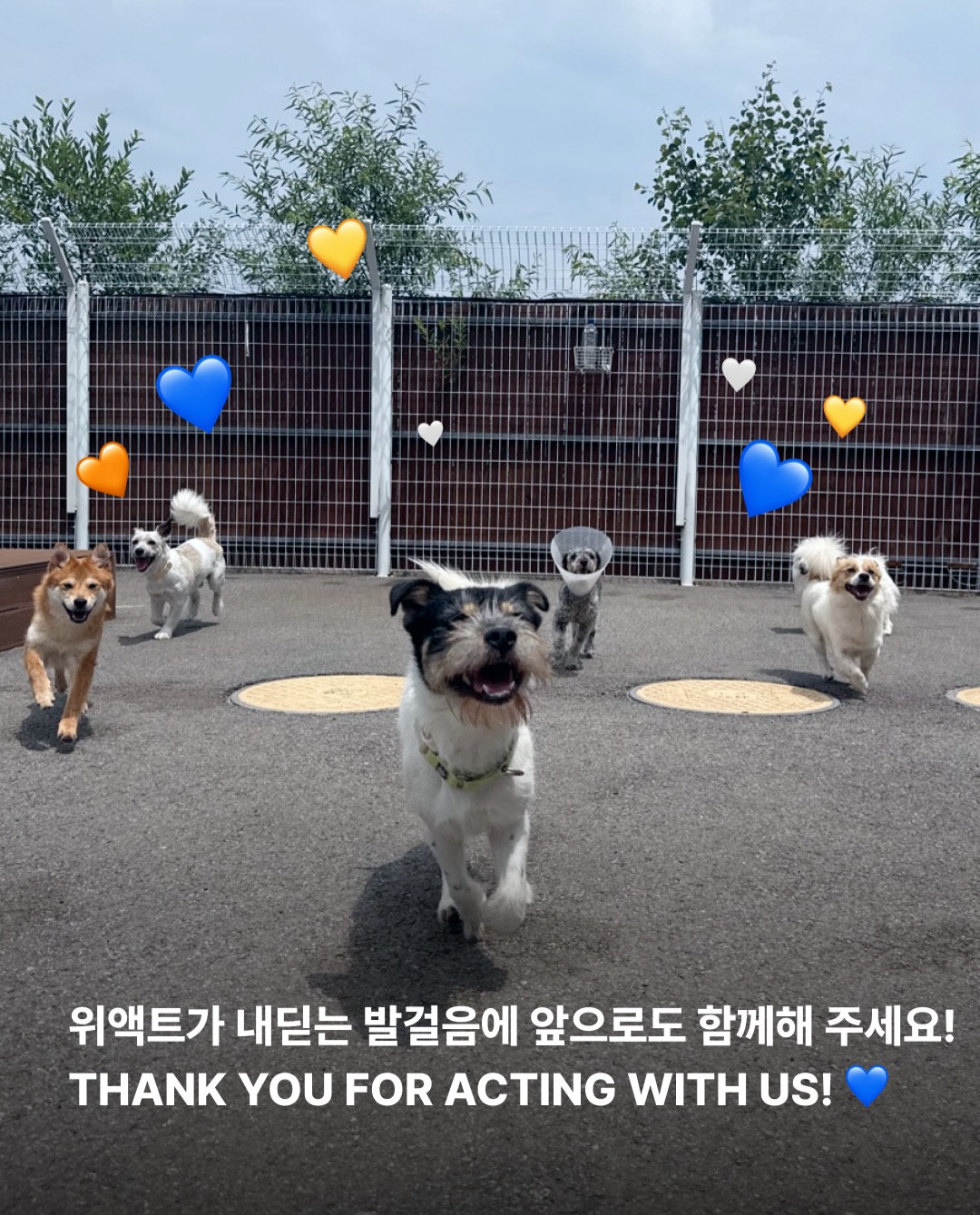 상세 사진 12
